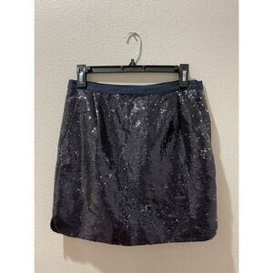J. Crew Navy and Silver Sequin Skirt Size 2